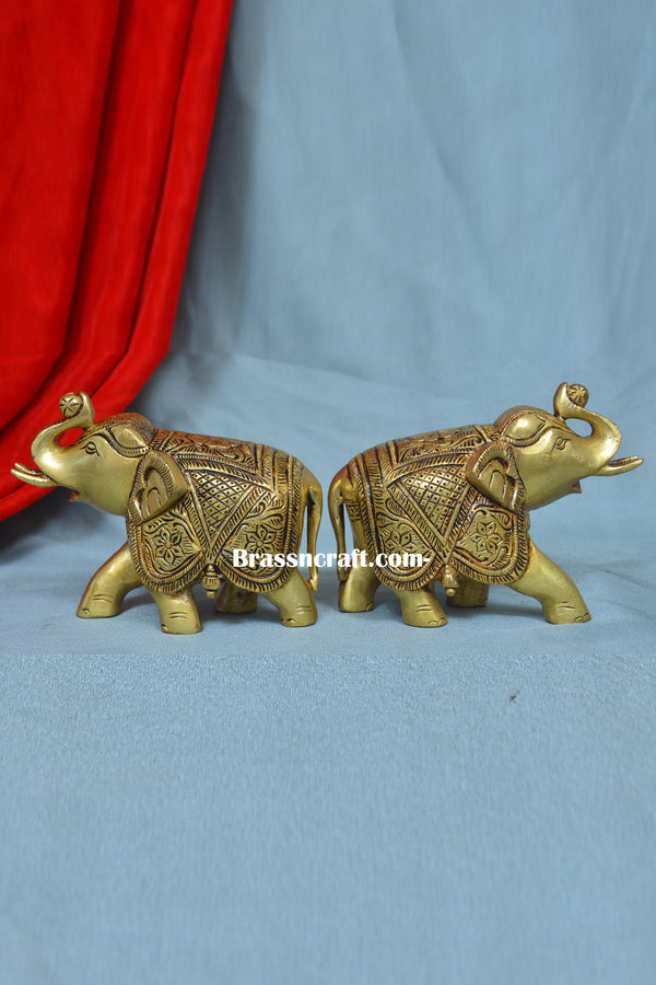 Elephant ( Set )