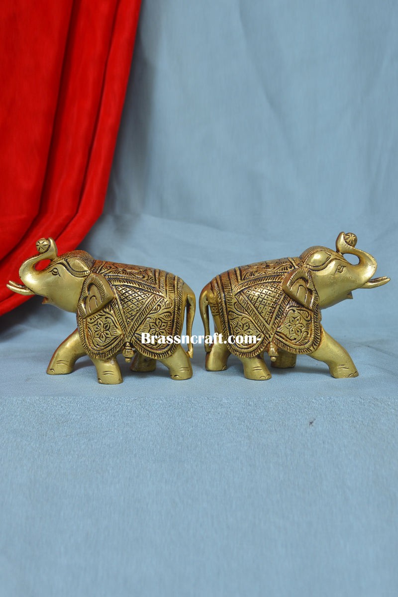 Elephant ( Set )