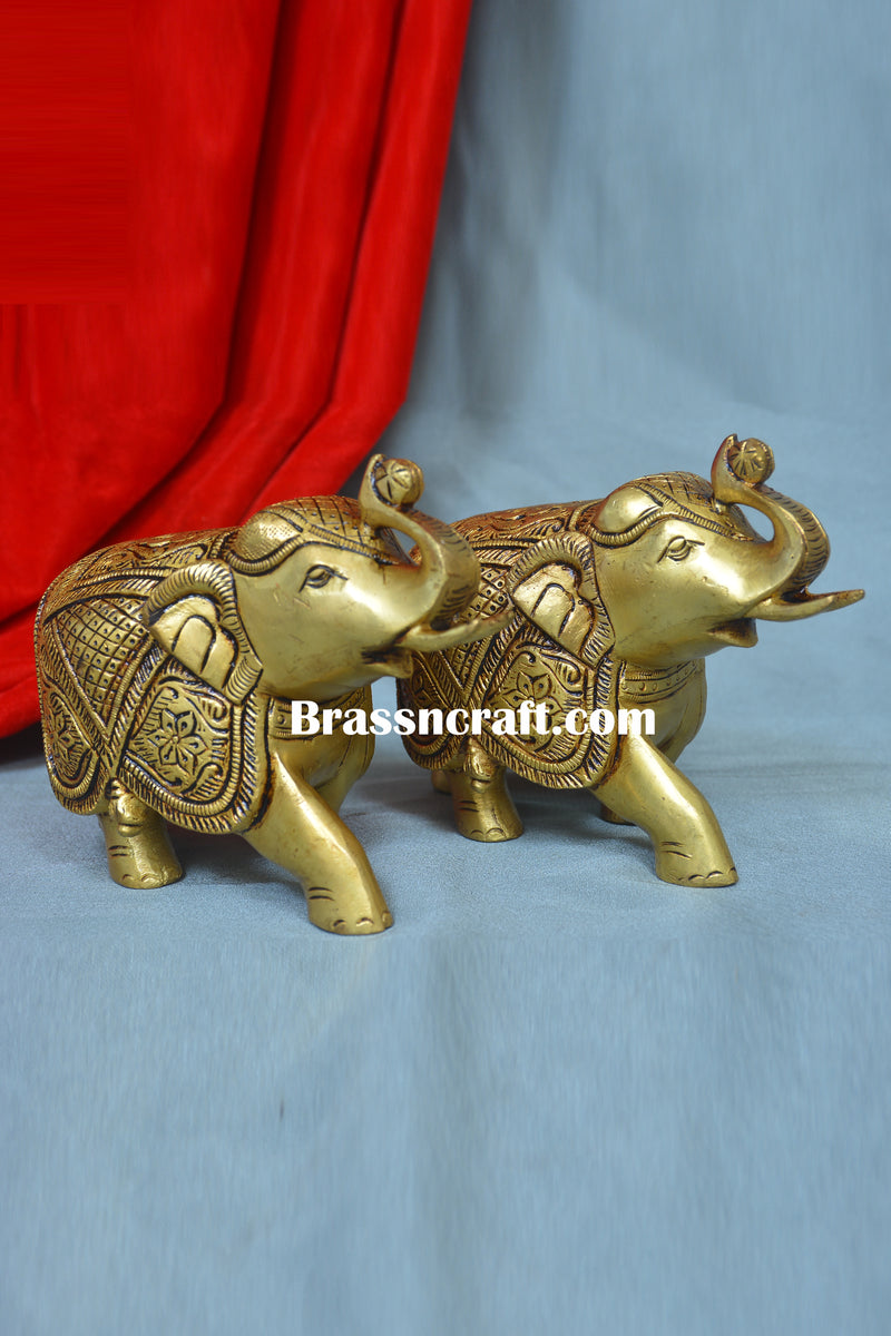 Elephant ( Set )