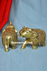 Elephant ( Set )