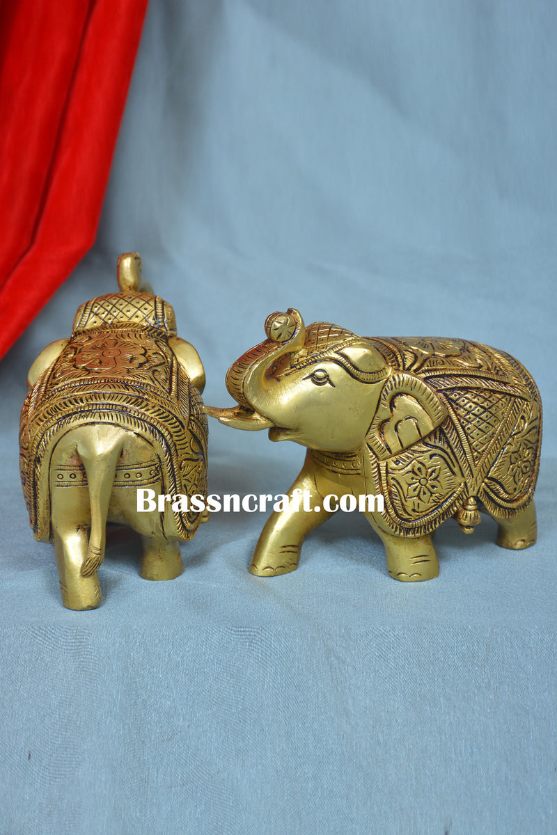 Elephant ( Set )