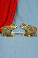 Elephant ( Set )