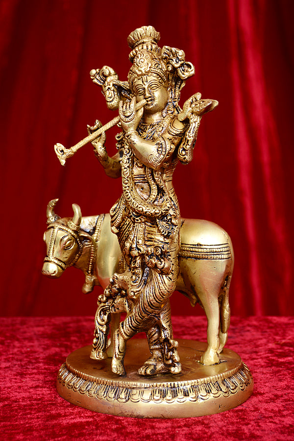 COW KRISHNA