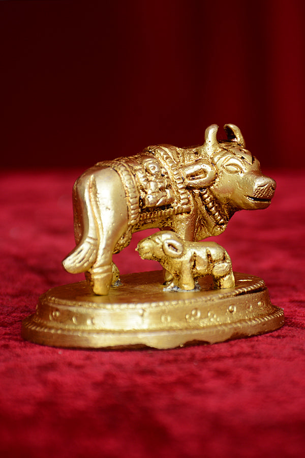 COW CALF LAXMI GANESH