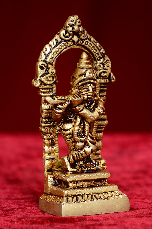 FRAME DASAVTAAR KRISHNA